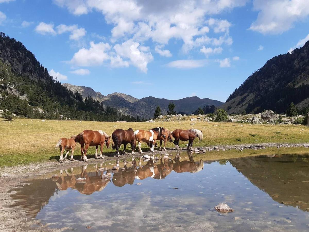 Studio Cosy Avec Balcon, Parking Et Coin Nuit Separe - 4 Couchages A Cauterets - Fr-1-234-249 Екстериор снимка